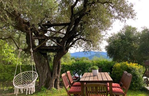 Subiaco House | Casa di Luce - Relax in campagna