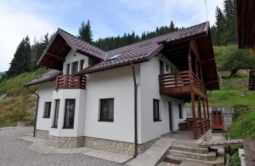 Ciocanesti Ski Chalet | Casa Diaconu