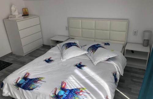 Poiana Marului House | Casa din gradina