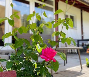 Poiana Marului House | Casa Din Lunca