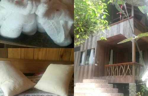 Mindo Cabin | Casa Divina Eco Lodge