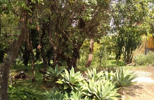 Campinas Cottage | Casa dos Ventos. Um Lugar pra vc Entrar em Contato com a Natureza