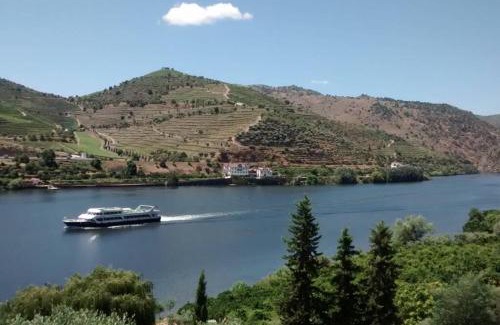 Carrazeda de Ansiaes House | Casa dos Vinhais - Douro Valley