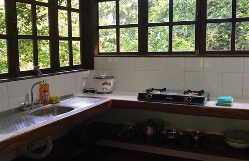 Montezuma House | CASA EL ARBOL
