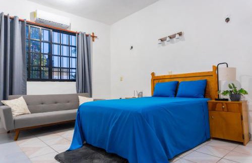 Colonia Independencia Apartment | Casa Elena