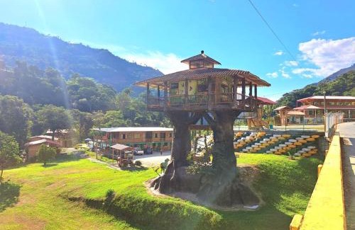 Pijao Hotel | Casa En El Árbol Génova