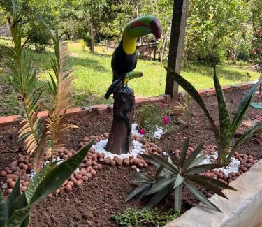 Amazon River House | Casa Encanto