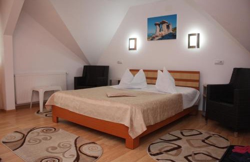 Busteni House | Casa Fanel