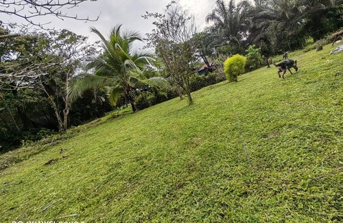 Rio Claro Apartment | Casa feliz