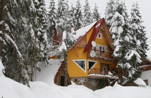 Vartop Ski Chalet | Casa Floare de Colt
