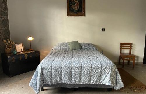 Mixquiahuala House | Casa Flora 32