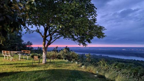 Inija House | Casa Horizont