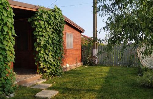 Sfantu Gheorghe House | Casa Ina