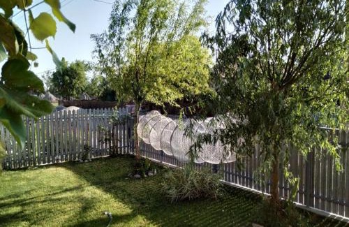 Sfantu Gheorghe House | Casa Ina