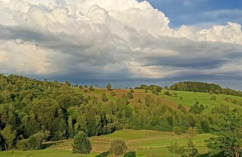 Intorsura Buzaului House | Casa Ioana Întorsura Buzăului