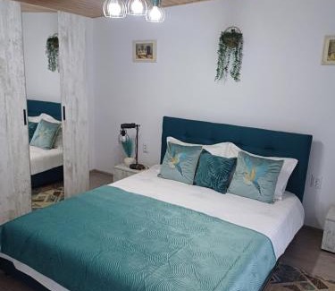 Ocna Mures House | Casa Ioana