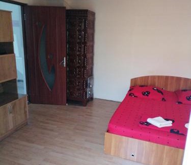Baile Herculane House | CASA IZA