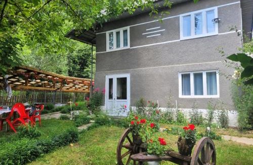 Avram Iancu House | Casa Izvorul Rece