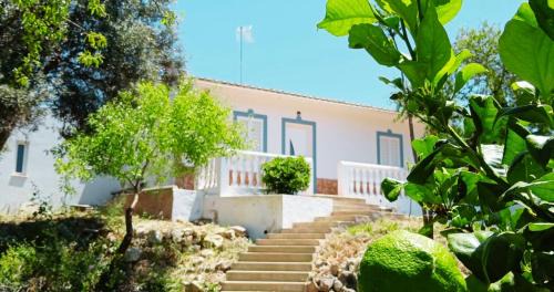 Poco do Mouro House | Casa Jacaranda Peace and Sunshine
