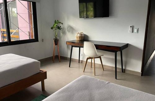 Todos Santos House | Casa Kamila en el centro de Todos Santos