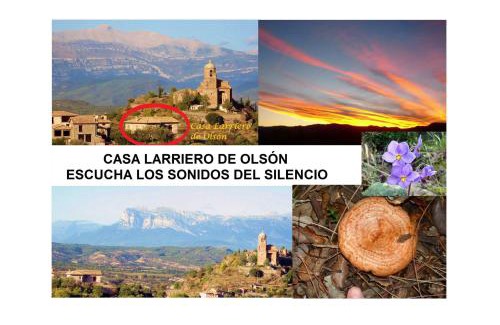 Olson House | Casa Larriero de Olsón