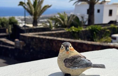 La Asomada Apartment | Casa Layka, con maravillosas vistas al mar