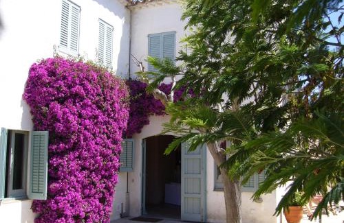 Sant Vicenc de Montalt House | Casa Le Bouganville