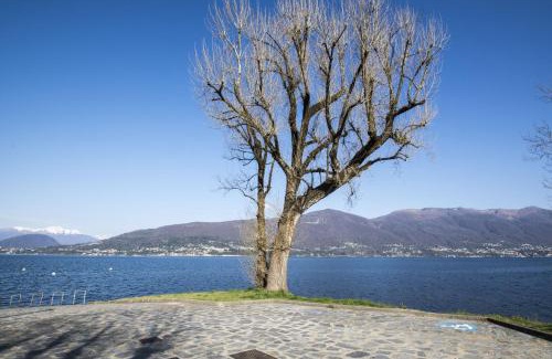 Castello Apartment | Casa Lea