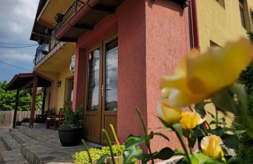 Albestii Paminteni House | Casa Leu
