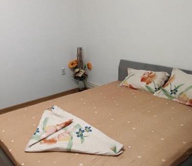 Braila Apartment | casa lidia