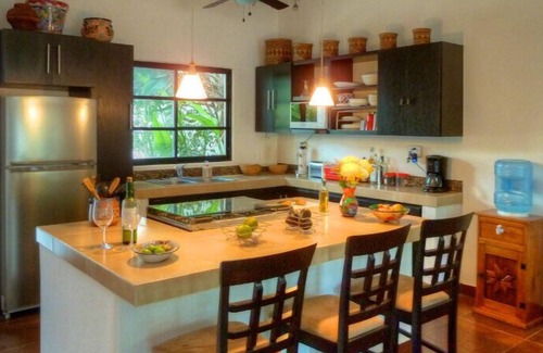 Colonia Independencia House | Casa Loro - Modern 3BR Home with Pool Perfect for Divers or Family Groups