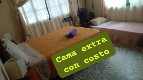 Zona Centro House | Casa Mali, zona centro, con piscina, asador y muy amplia