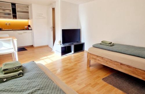 Solothurn Apartment | Casa Maria City
