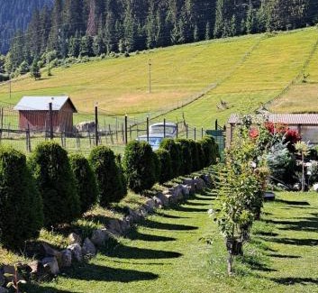 Campulung Moldovenesc Villa | Casa Mia