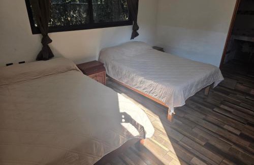Santa Cecilia House | Casa Momotus