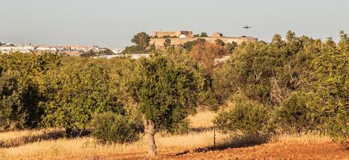 Vista Real House | Casa Natura
