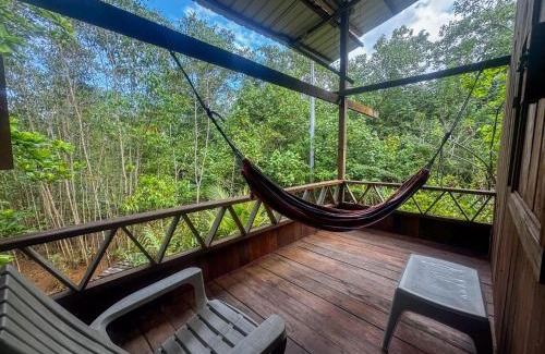 Bahia Solano Other | Casa Nutria