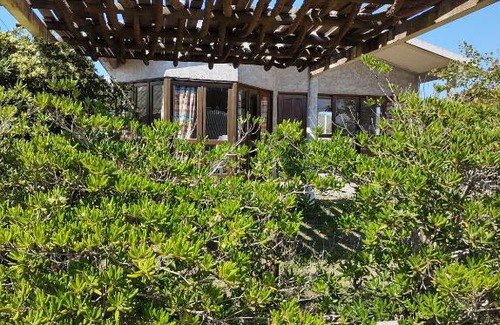 Puimayen House | Casa Palazzo