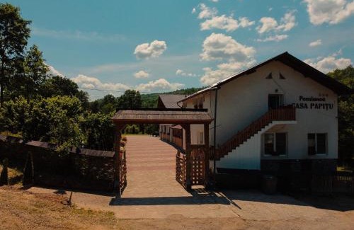 Vadu Izei House | Casa Papițu