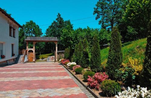 Vadu Izei House | Casa Papițu