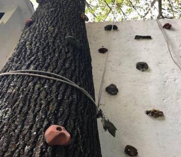 Los Limoneros Villa | Casa Paraís.Espectacular residencia,súper equipada