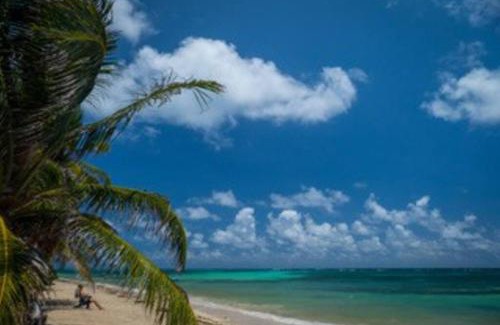 Little Corn Island Apartment | Casa Paraíso - Little Corn Island