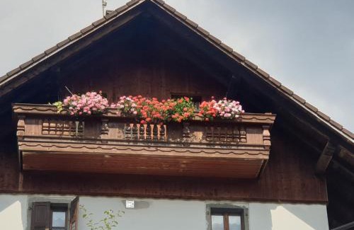 Ovaro Apartment | Casa Patty - Liariis of Ovaro CARNIA