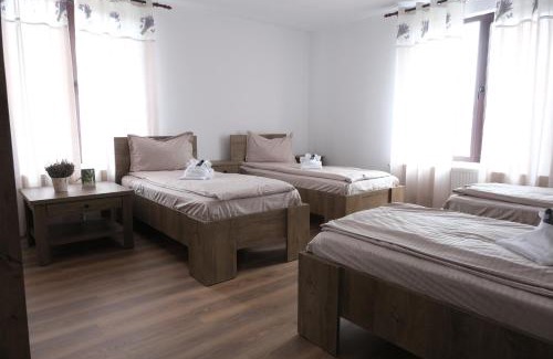 Noslac House | Casa Pelerinului