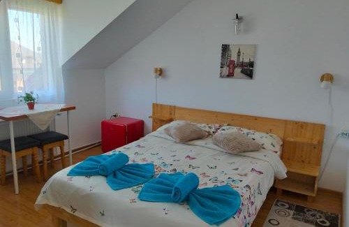 Gura Humorului House | Casa Popa