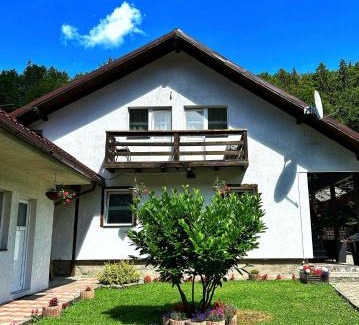 Cartisoara House | Casa Popa’s