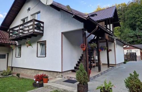 Cartisoara House | Casa Popa’s