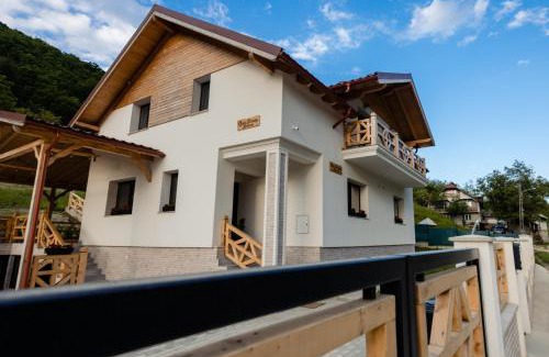 Vadu Izei House | Casa Pricop Moroșană