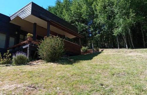 Minetue House | Casa Pucon sector Laguna ancapulli