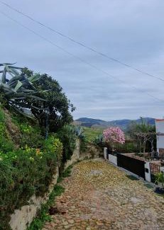 Pinhao House | Casa Rodrigues
